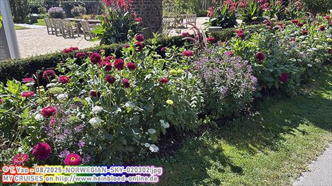 2025-NORWEGIAN-SKY-020302