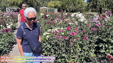 2025-NORWEGIAN-SKY-020304