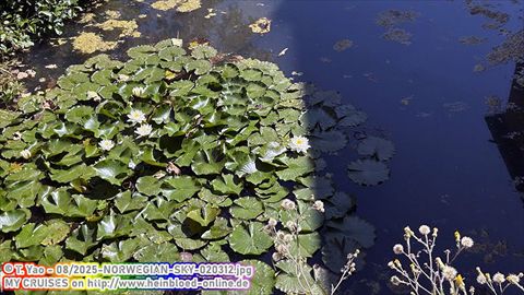 2025-NORWEGIAN-SKY-020312