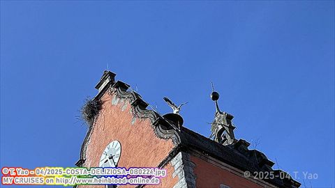 2025-COSTA-DELIZIOSA-0B0224