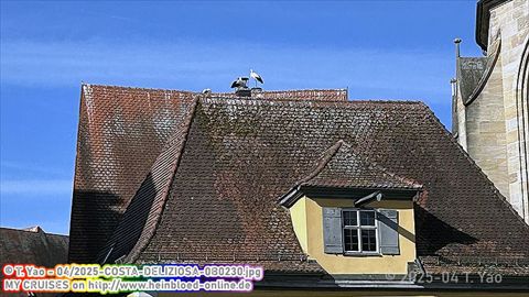 2025-COSTA-DELIZIOSA-0B0230