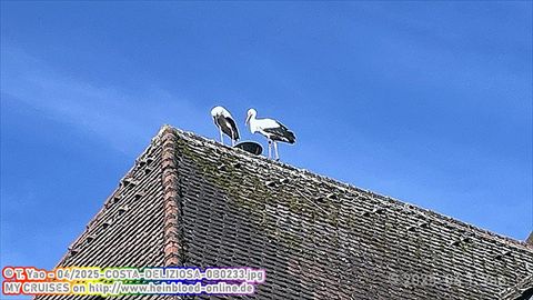 2025-COSTA-DELIZIOSA-0B0233