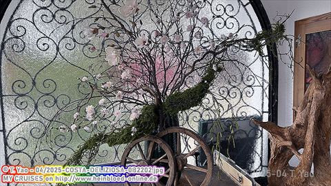 2025-COSTA-DELIZIOSA-0B2202