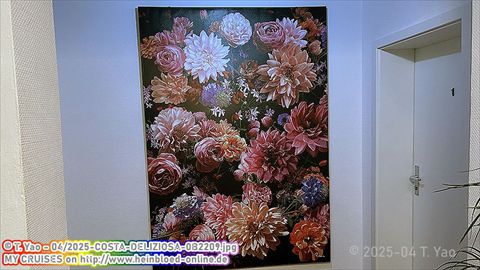 2025-COSTA-DELIZIOSA-0B2209