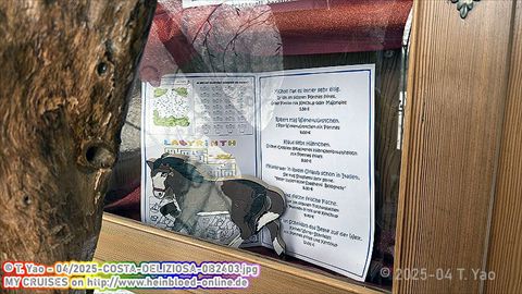 2025-COSTA-DELIZIOSA-0B2403