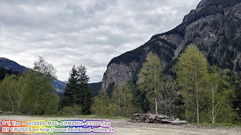2025-MSC-ARMONIA-071304