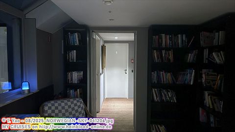 2025-NORWEGIAN-SKY-041206