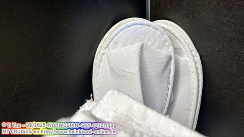 2025-NORWEGIAN-SKY-041217