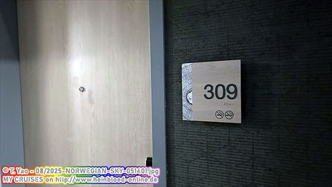 2025-NORWEGIAN-SKY-051401