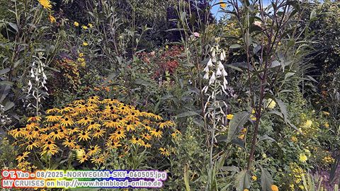 2025-NORWEGIAN-SKY-060505