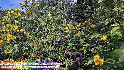 2025-NORWEGIAN-SKY-060514