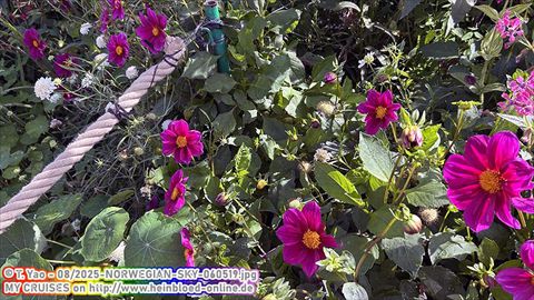 2025-NORWEGIAN-SKY-060519