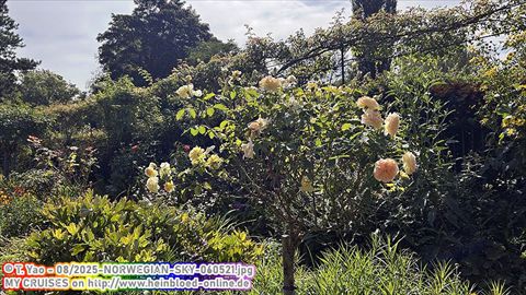 2025-NORWEGIAN-SKY-060521