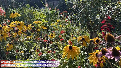 2025-NORWEGIAN-SKY-060522