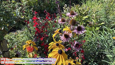 2025-NORWEGIAN-SKY-060523