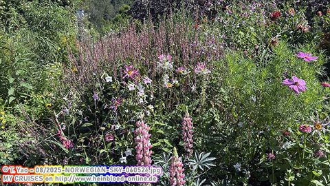 2025-NORWEGIAN-SKY-060524