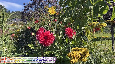 2025-NORWEGIAN-SKY-060525