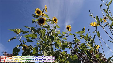 2025-NORWEGIAN-SKY-060526