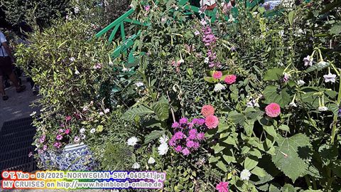 2025-NORWEGIAN-SKY-060541