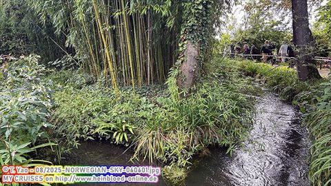 2025-NORWEGIAN-SKY-060601