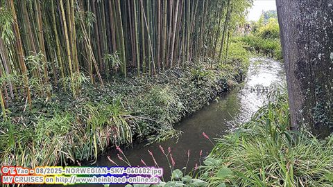 2025-NORWEGIAN-SKY-060602