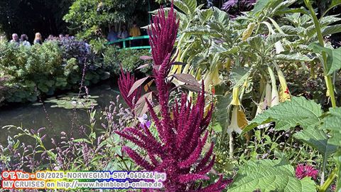 2025-NORWEGIAN-SKY-060626