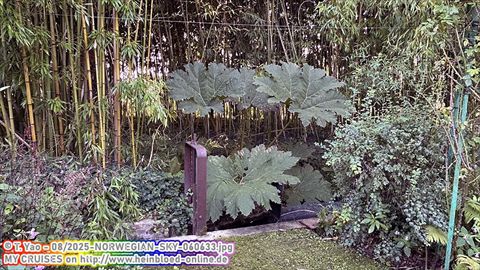 2025-NORWEGIAN-SKY-060633