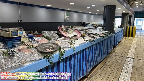 2025-NORWEGIAN-SKY-060804