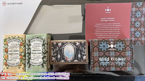 2025-NORWEGIAN-SKY-061341