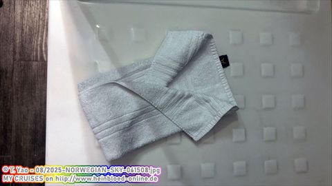 2025-NORWEGIAN-SKY-061508