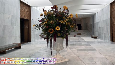 2025-NORWEGIAN-SKY-030205