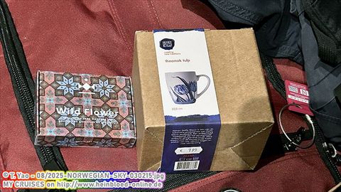 2025-NORWEGIAN-SKY-030215