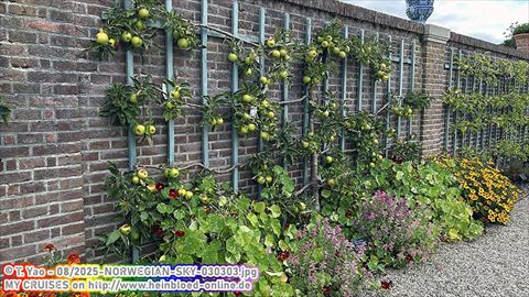 2025-NORWEGIAN-SKY-030303