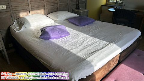 2025-NORWEGIAN-SKY-031110