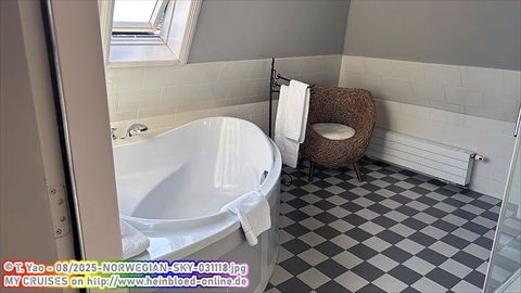 2025-NORWEGIAN-SKY-031118