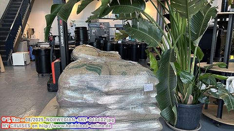 2025-NORWEGIAN-SKY-040402