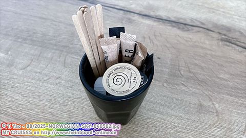 2025-NORWEGIAN-SKY-040502