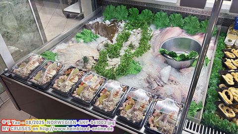 2025-NORWEGIAN-SKY-041003