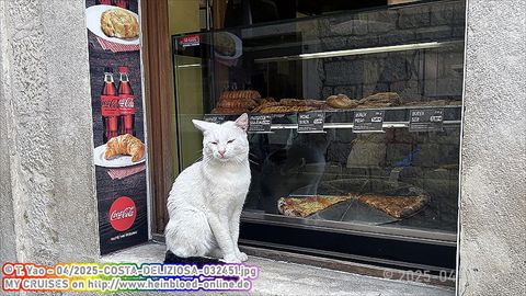 2025-COSTA-DELIZIOSA-032451
