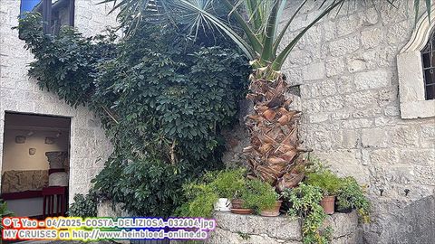 2025-COSTA-DELIZIOSA-032604