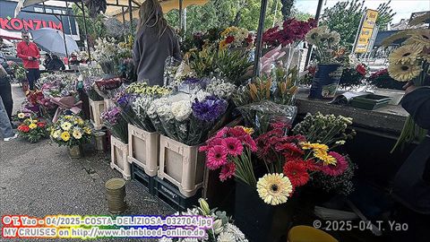 2025-COSTA-DELIZIOSA-032704