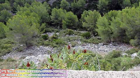 2024-AZAMARA-QUEST-041321