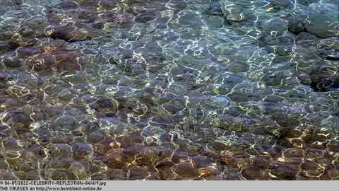 2022-CELEBRITY-REFLECTION-041419