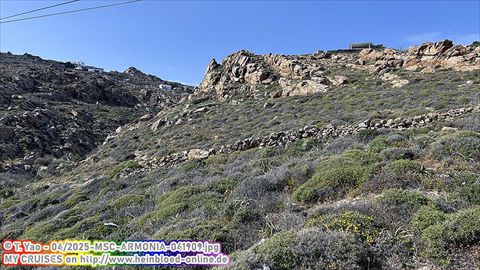 2025-MSC-ARMONIA-041909