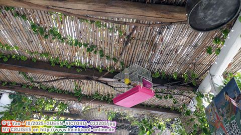 2025-QUEEN-VICTORIA-033205