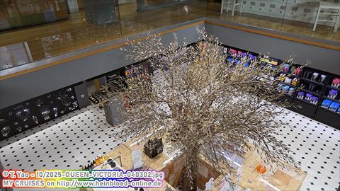 2025-QUEEN-VICTORIA-040302