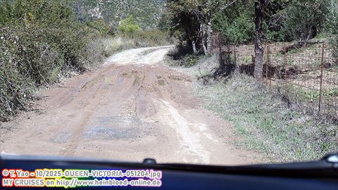 2025-QUEEN-VICTORIA-051204