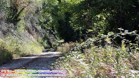 2025-QUEEN-VICTORIA-051207