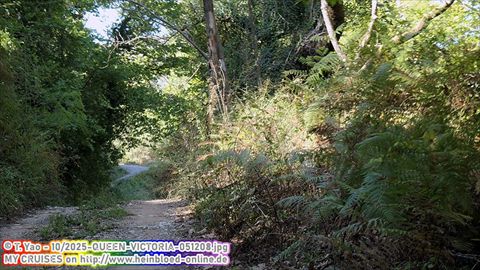 2025-QUEEN-VICTORIA-051208