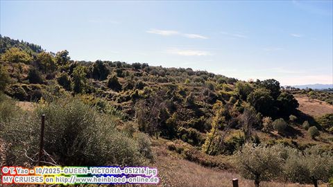 2025-QUEEN-VICTORIA-051216